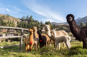 Colca Valley, 2 nights