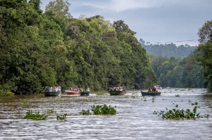 Kinabatangan River Freedom Day