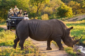 Kruger National Park
