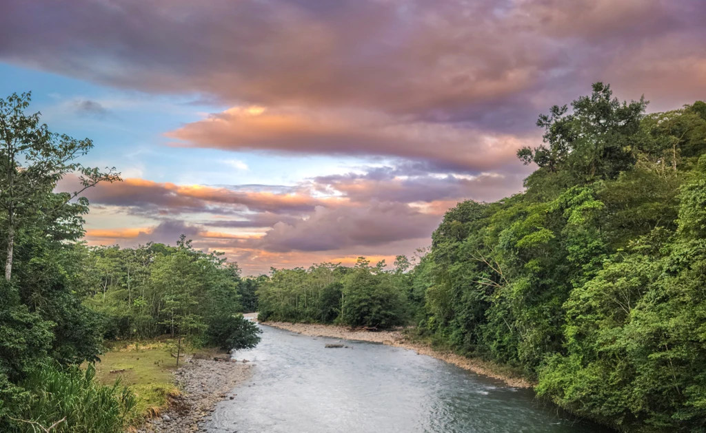 Selva Verde Lodge