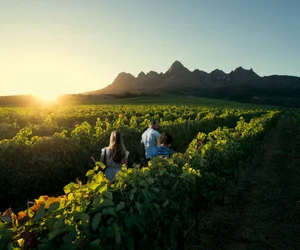 Cape Winelands