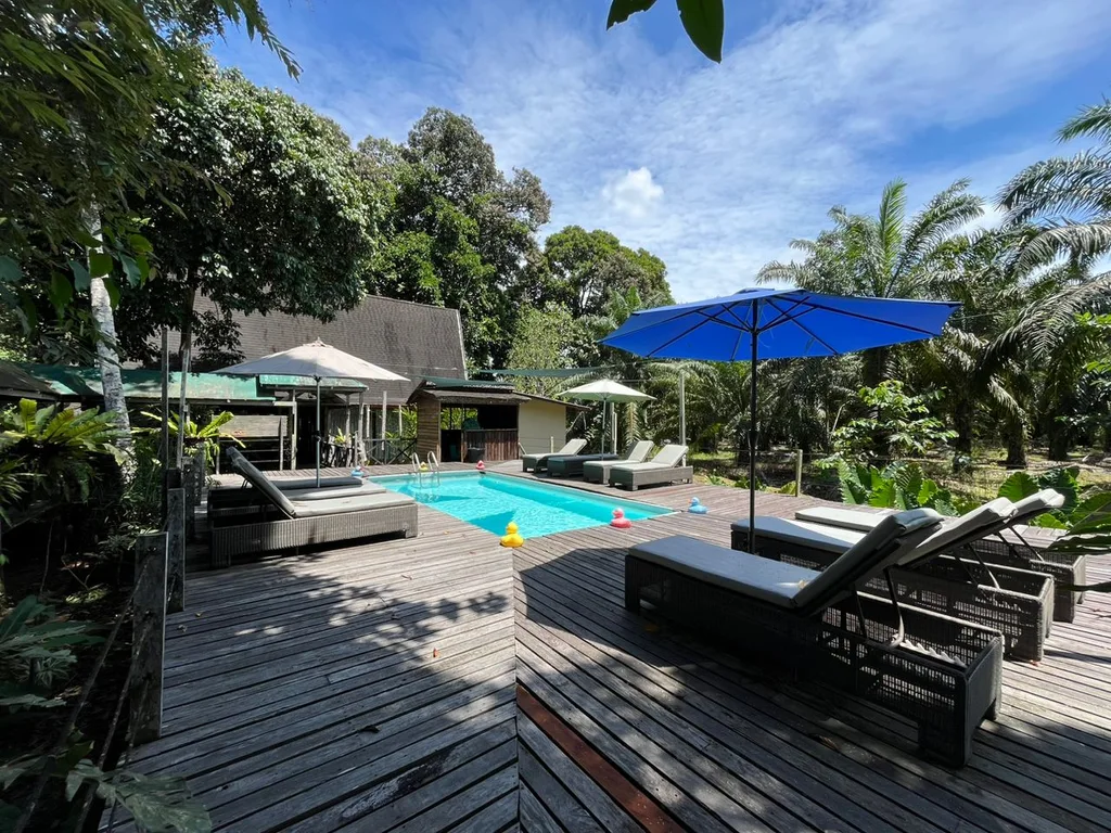 Sukau Rainforest Lodge