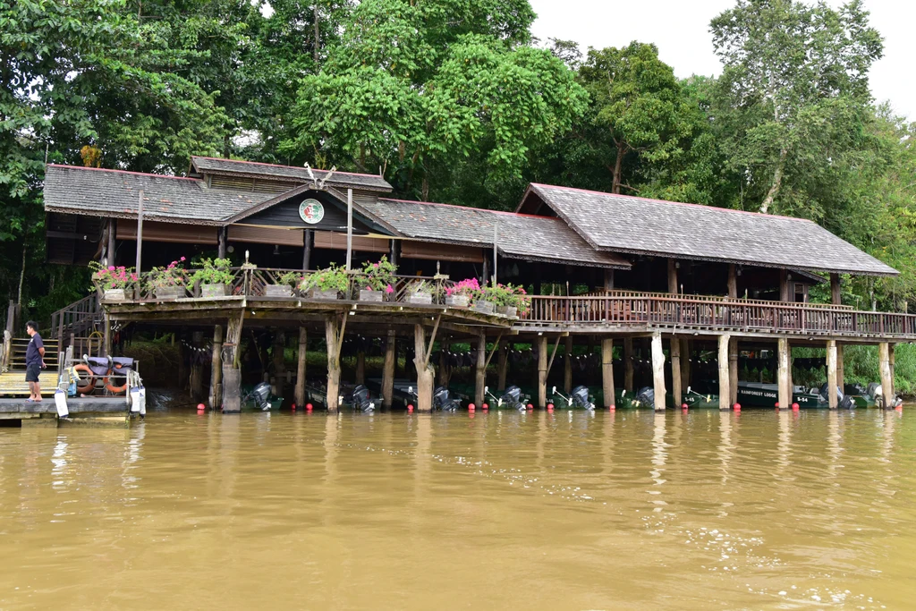 Sukau Rainforest Lodge