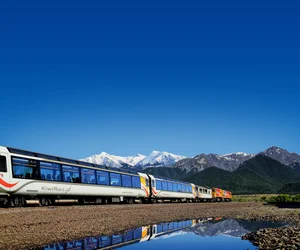 Tranzalpine Train Journey to Christchurch