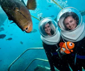 Seawalker Helmet Dive