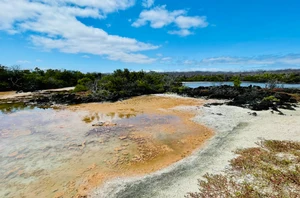 Santa Cruz, Galápagos Islands, 4 nights
