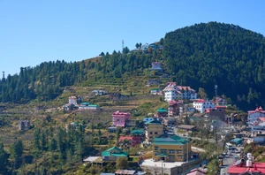 Shimla