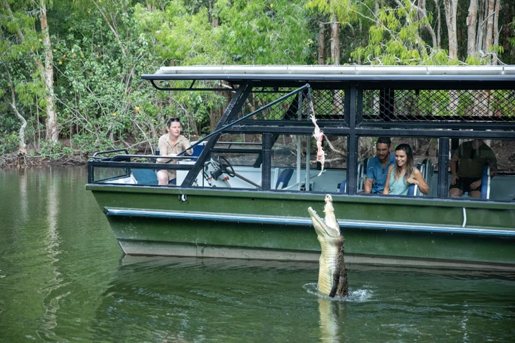 Hartley’s Crocodile Adventures