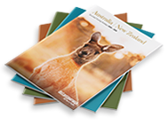 Request a brochure