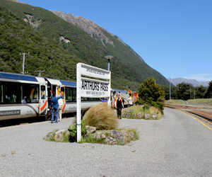 Tranzalpine Train Journey to Arthur’s Pass